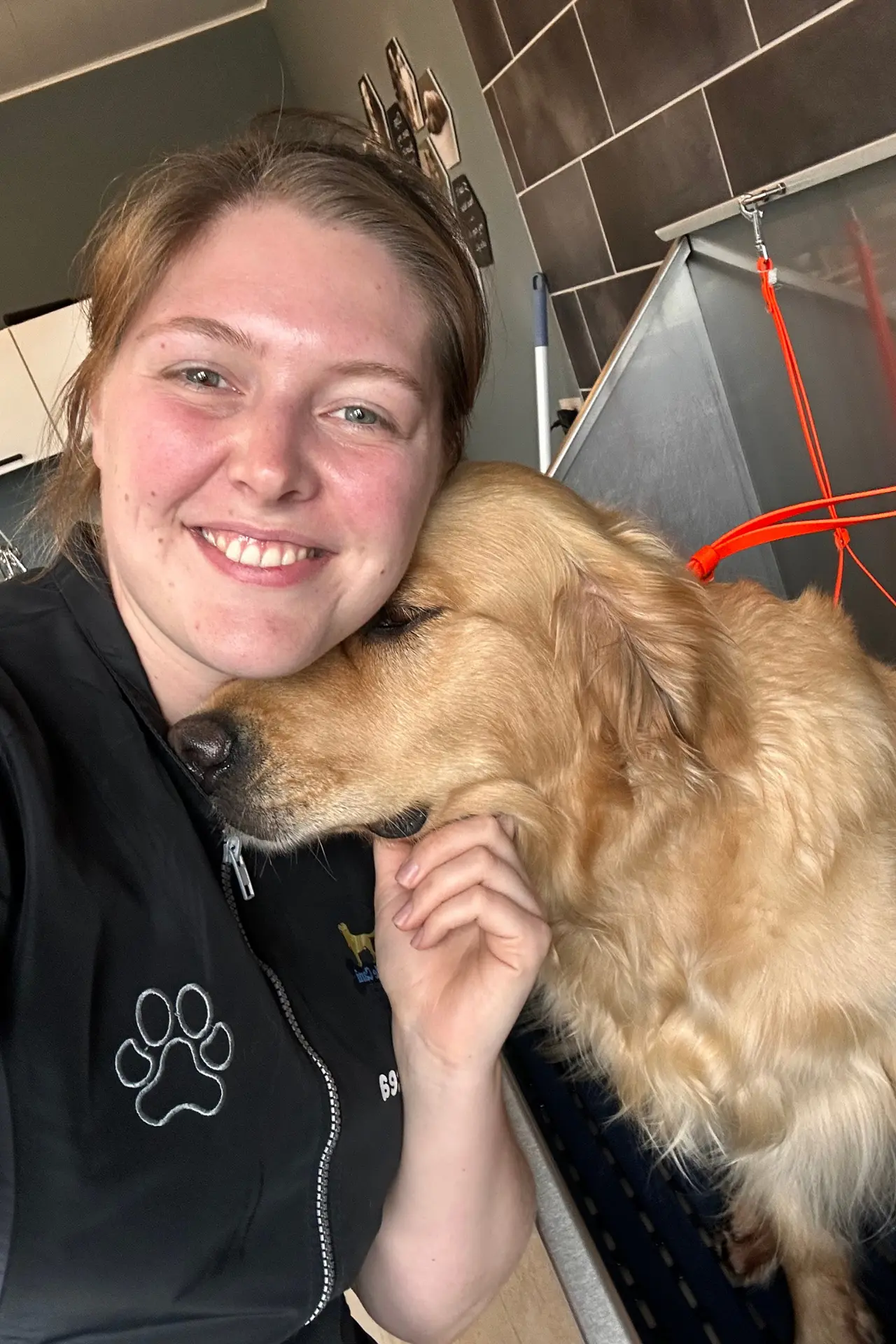 Kennismaking met een golden retriever bij hondentrimmer Belle Cani in Wuustwezel